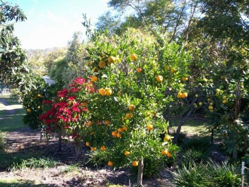 Mount Perry QLD 4671