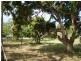 Gin Gin QLD 4671