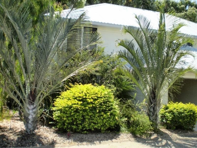 Moore Park Beach QLD 4670