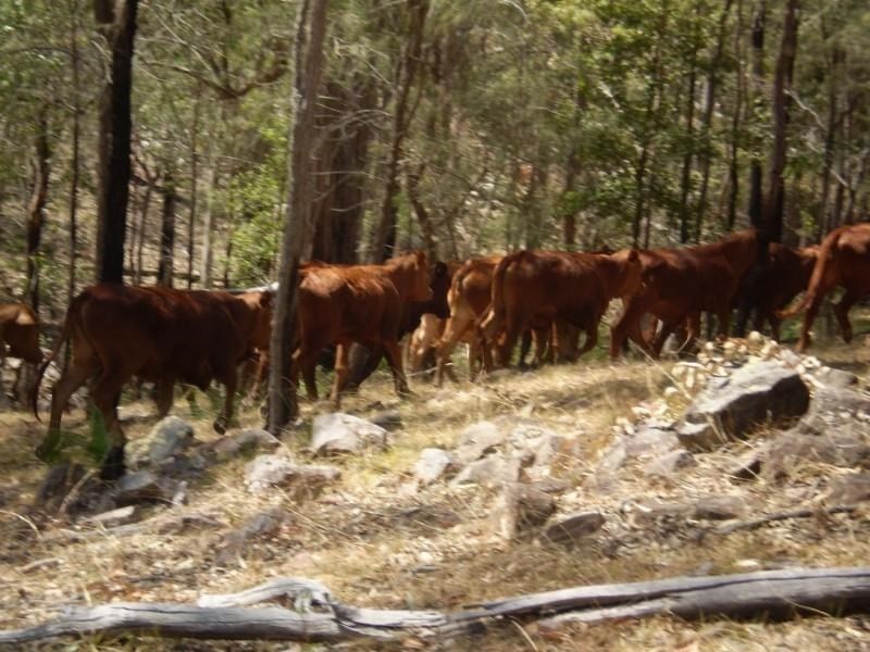 Mount Perry QLD 4671