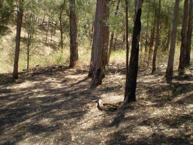 Mount Perry QLD 4671