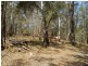 Mount Perry QLD 4671