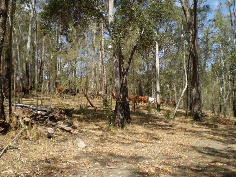 Mount Perry QLD 4671