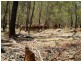 Mount Perry QLD 4671