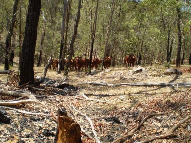 Mount Perry QLD 4671