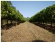 Gin Gin QLD 4671