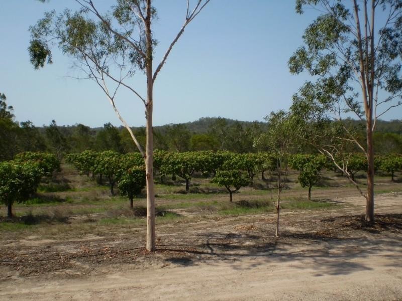 Gin Gin QLD 4671
