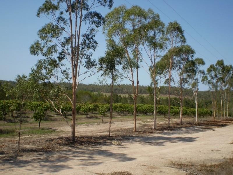Gin Gin QLD 4671