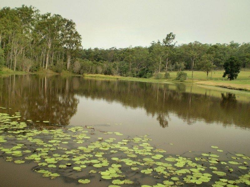 South Bingera QLD 4670