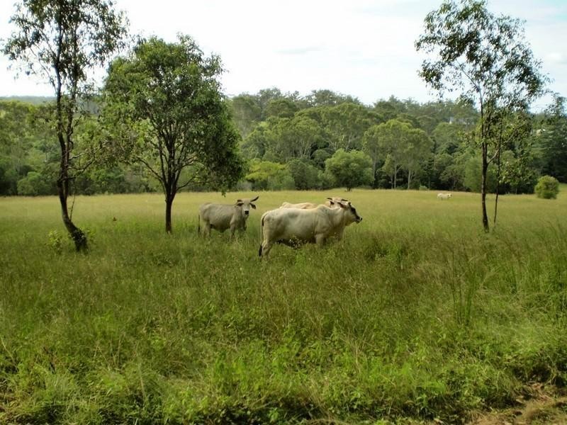 South Bingera QLD 4670