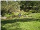 Mount Perry QLD 4671