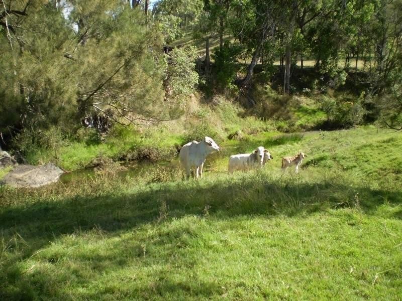 Mount Perry QLD 4671