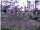 Gin Gin QLD 4671