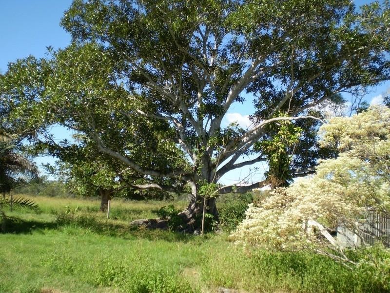 Bucca QLD 4670