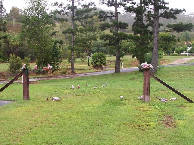 Mount Perry QLD 4671