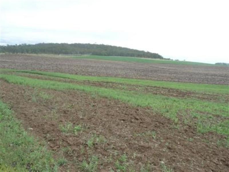 Gin Gin QLD 4671