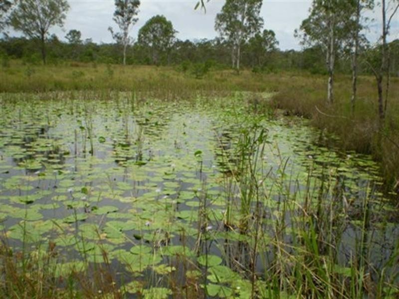 Gin Gin QLD 4671