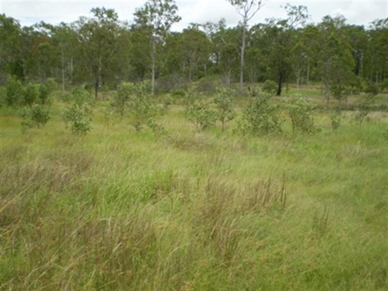 Gin Gin QLD 4671