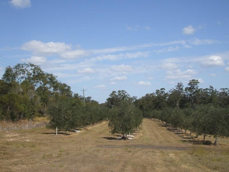 Bucca QLD 4670