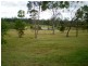 Bucca QLD 4670