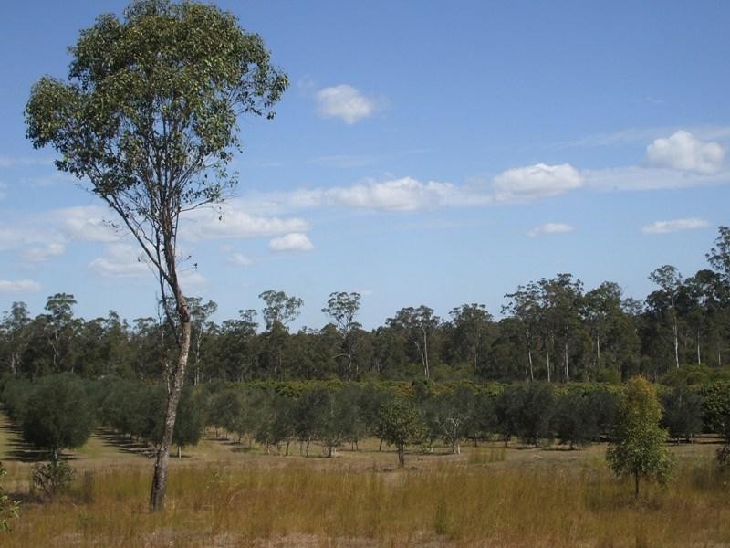 Bucca QLD 4670