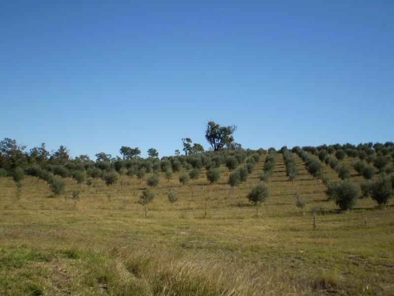 Mount Perry QLD 4671