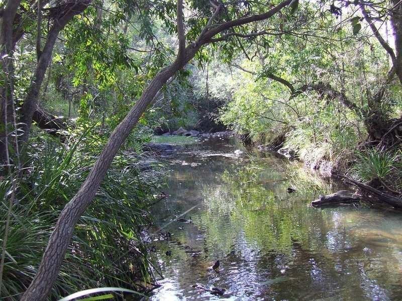 33520 Bruce Highway, Wallaville QLD 4671