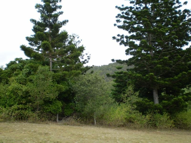 Mount Perry QLD 4671