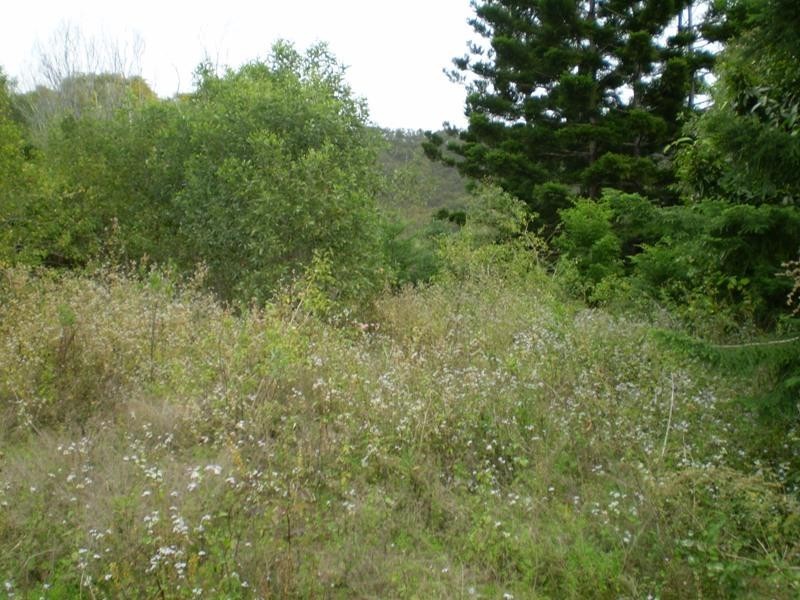 Mount Perry QLD 4671