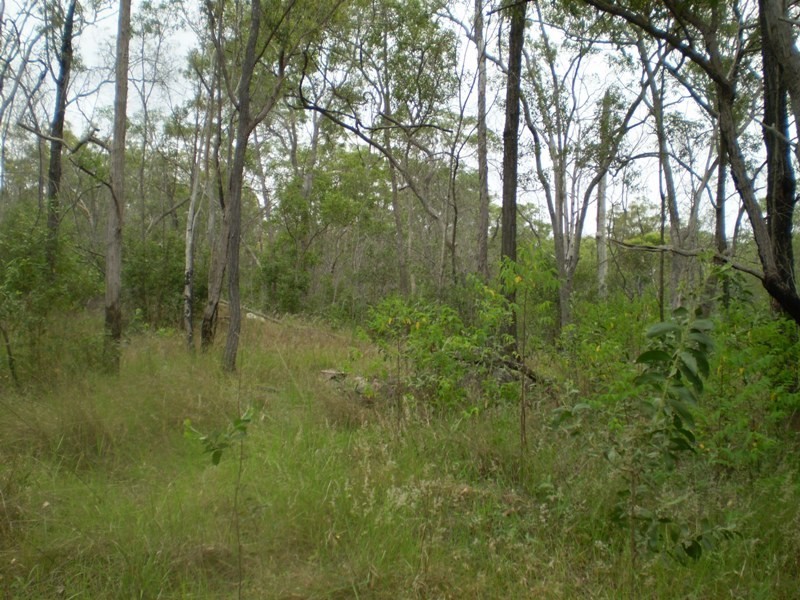 639 Doughboy Road, Gin Gin QLD 4671