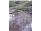 L68 Chavasse Drive, Wonbah QLD 4671