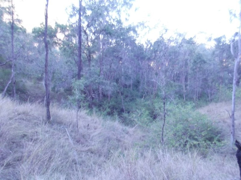 L68 Chavasse Drive, Wonbah QLD 4671