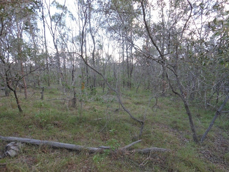 3 Settlement Road, Gin Gin QLD 4671