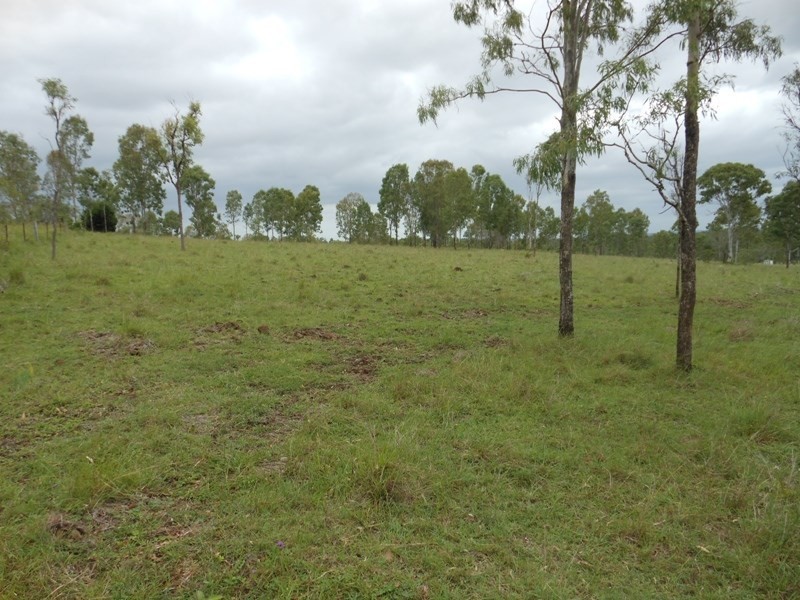 Lot 3 Pratts Road, Drinan QLD 4671