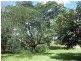 348 Wonbah Road, Wonbah QLD 4671