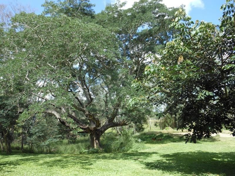 348 Wonbah Road, Wonbah QLD 4671