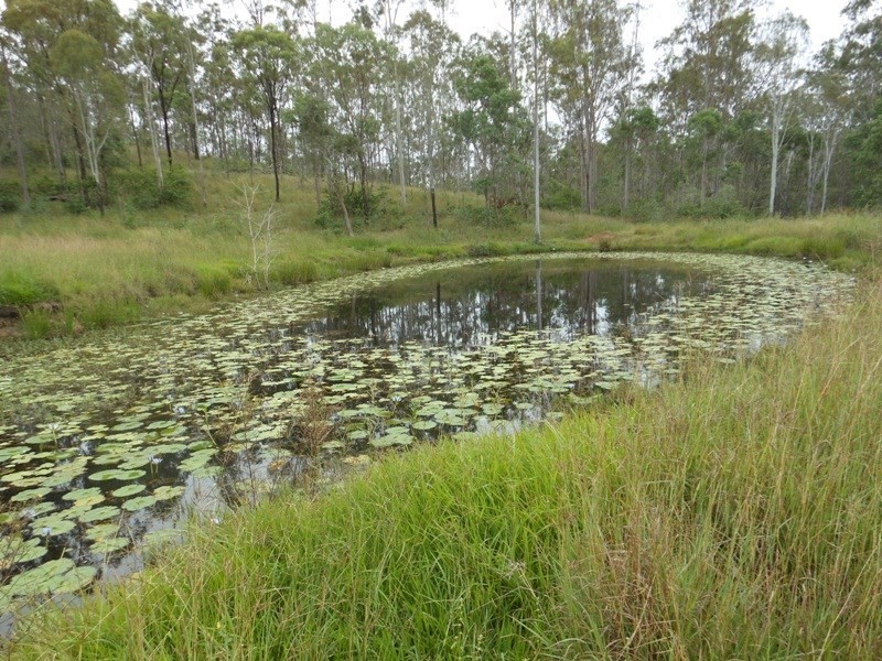 1381 Moolboolaman Road, Gin Gin QLD 4671