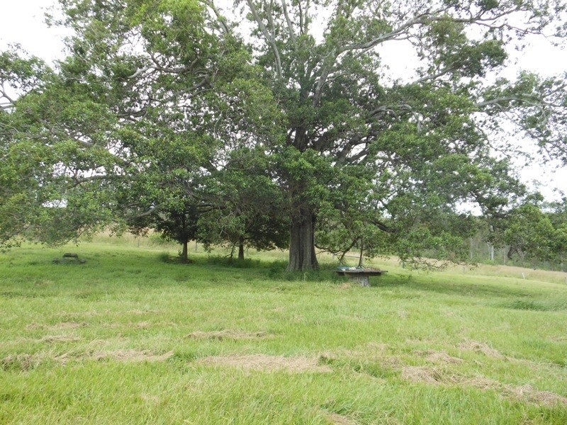 1381 Moolboolaman Road, Gin Gin QLD 4671