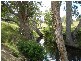Mount Perry QLD 4671