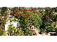 Waterford West QLD 4133