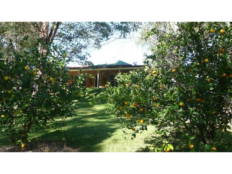 Maroochy River QLD 4561