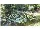 Maroochy River QLD 4561