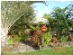 19 Clementine Place, Bli Bli QLD 4560