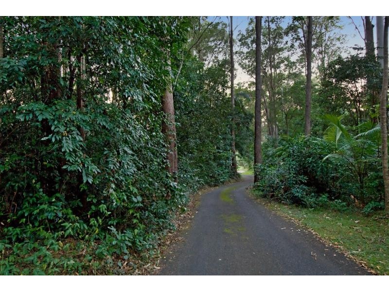 52 Badhilli Crescent, Diddillibah QLD 4559