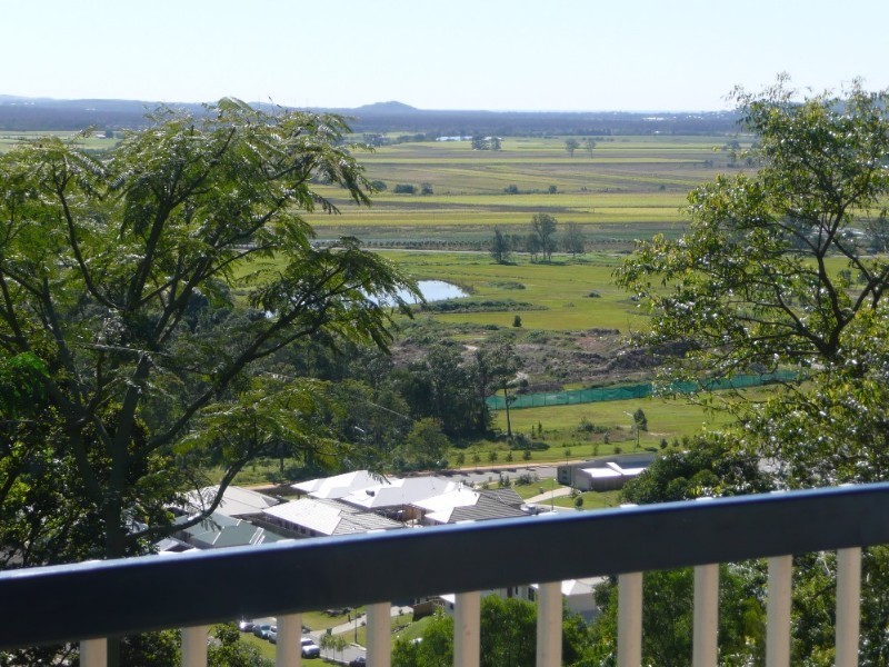 46 Whitecross Road, Bli Bli QLD 4560