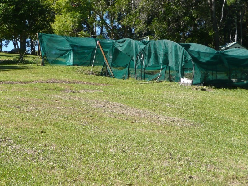 Bli Bli QLD 4560