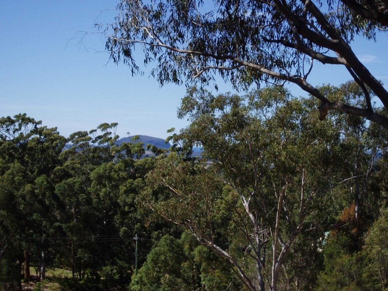 12 GALLERY Drive, Bli Bli QLD 4560