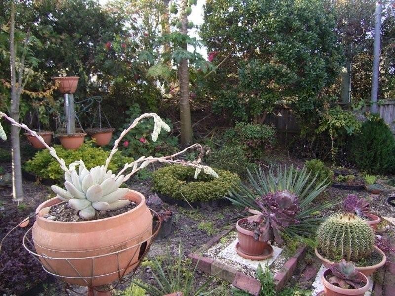 1/16 Solandra Street, Nambour QLD 4560