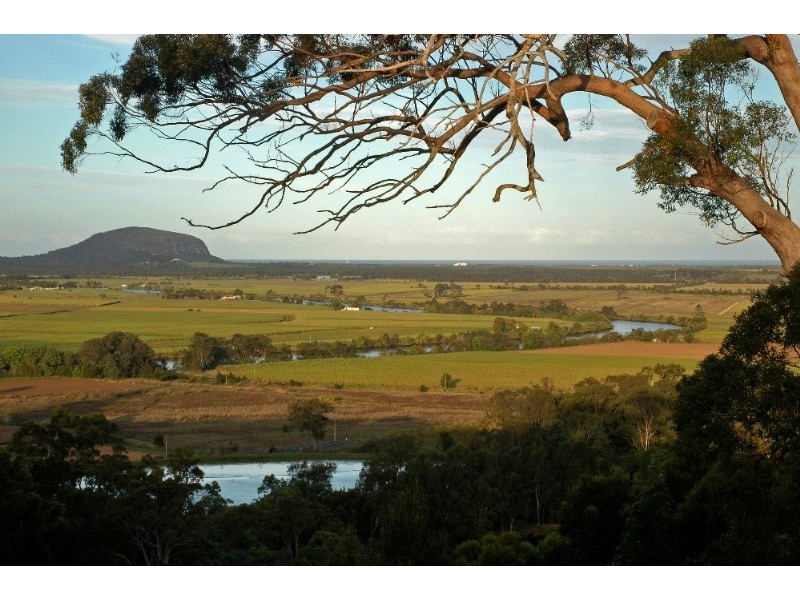 49 Tamin Place, Maroochy River QLD 4561