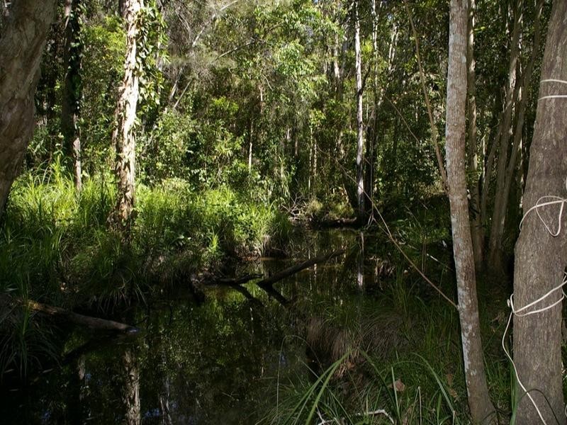 Maroochy River QLD 4561